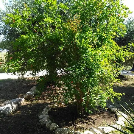 Mini 5 Posti Letto 公寓 Porto SantʼElpidio