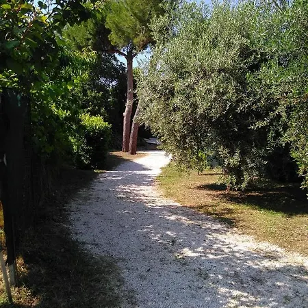 Mini 5 Posti Letto